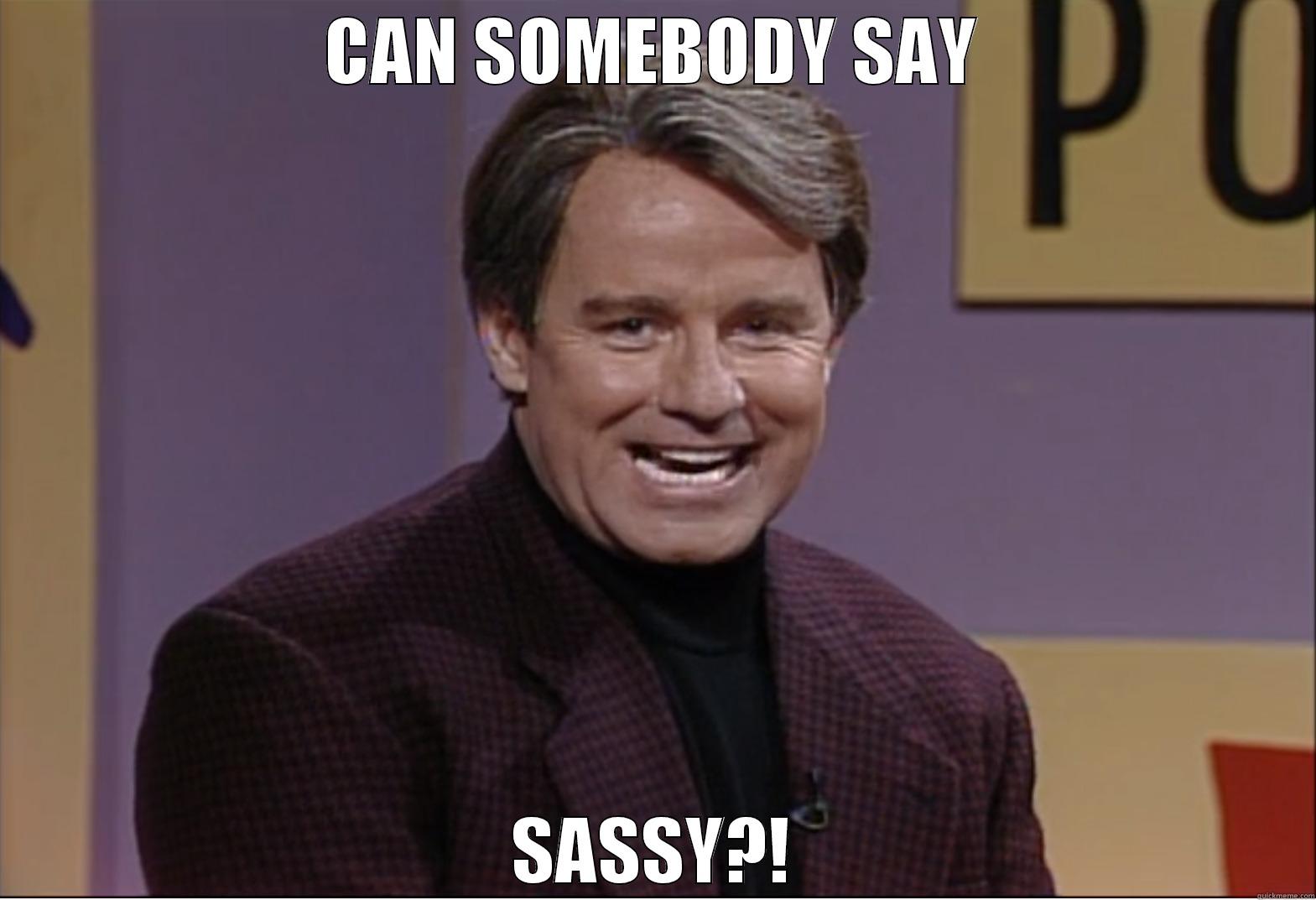 Sassy Phil Hartman - CAN SOMEBODY SAY SASSY?! Misc
