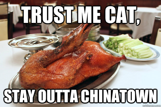 Trust Me Cat, Stay outta chinatown  