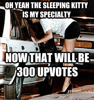 Oh yeah the sleeping kitty is my specialty now that will be 300 upvotes  Karma Whore