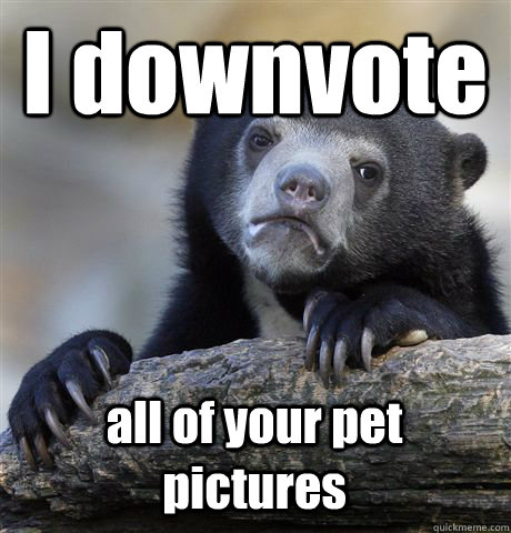 I downvote all of your pet pictures  Confession Bear