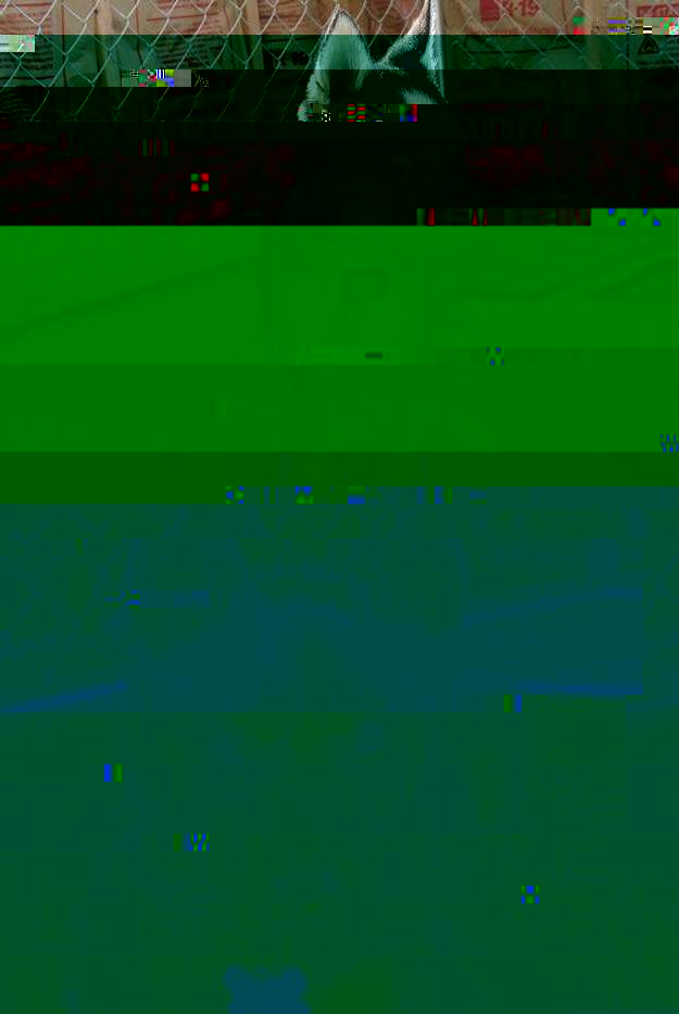 Don't talk to me like that I have had bad Day   Insanity puppy