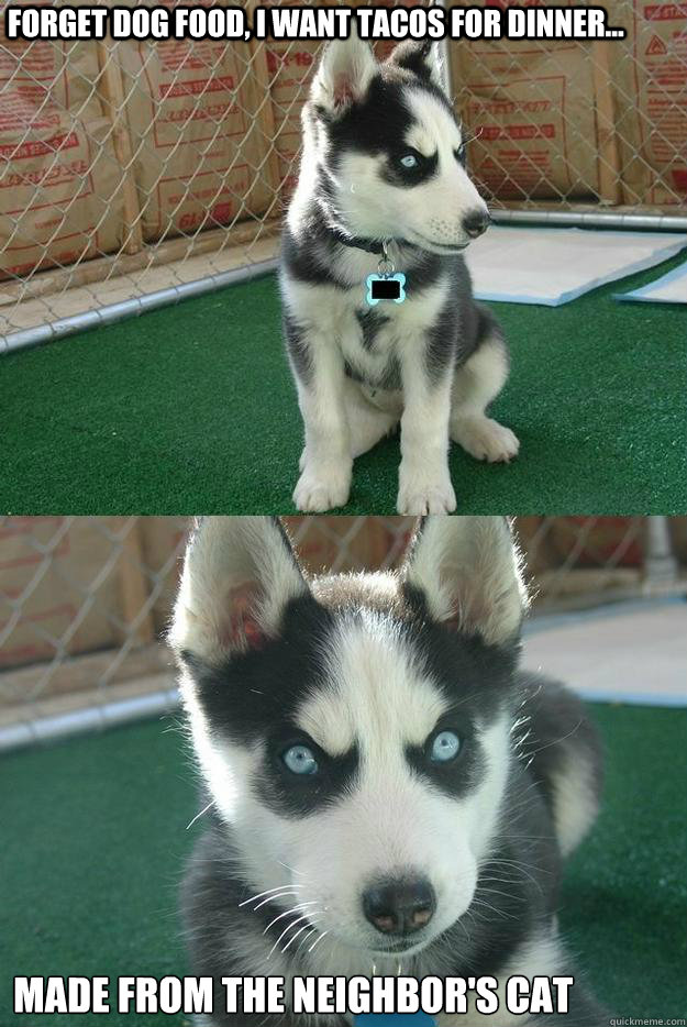 Forget dog food, I want tacos for dinner... Made from the neighbor's cat  Insanity puppy