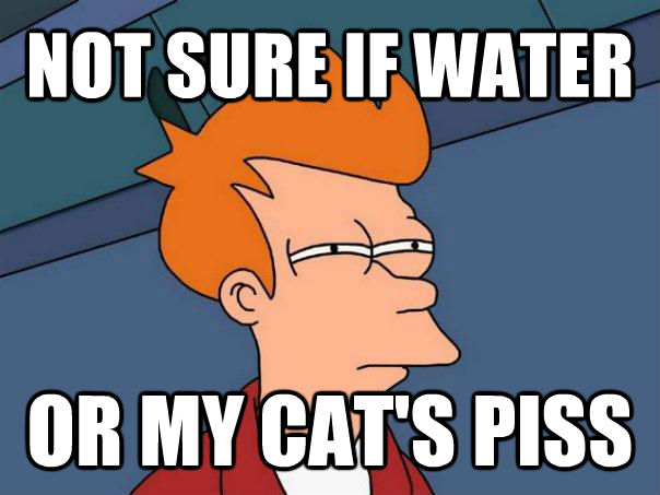 NOT SURE IF WATER OR MY CAT'S PISS  Futurama Fry