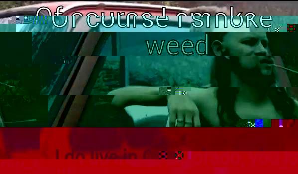 OF COURSE I SMOKE WEED I DO LIVE IN COLORADO, YOU KNOW... Almost Politically Correct Redneck
