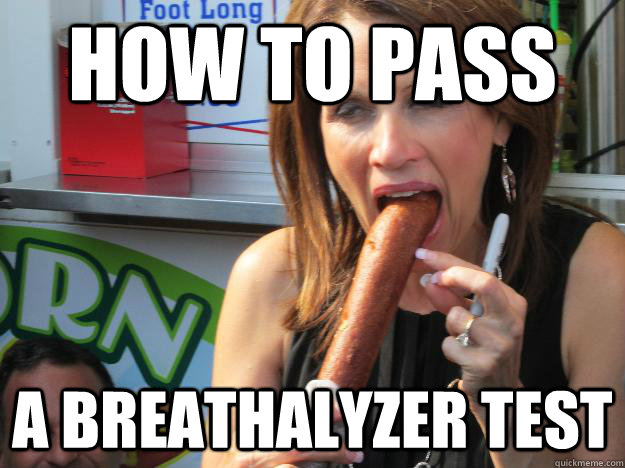 How to pass a Breathalyzer test  Slutty Michele