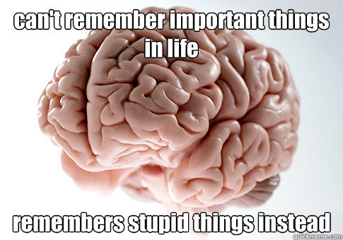 can't remember important things in life remembers stupid things instead  Scumbag Brain