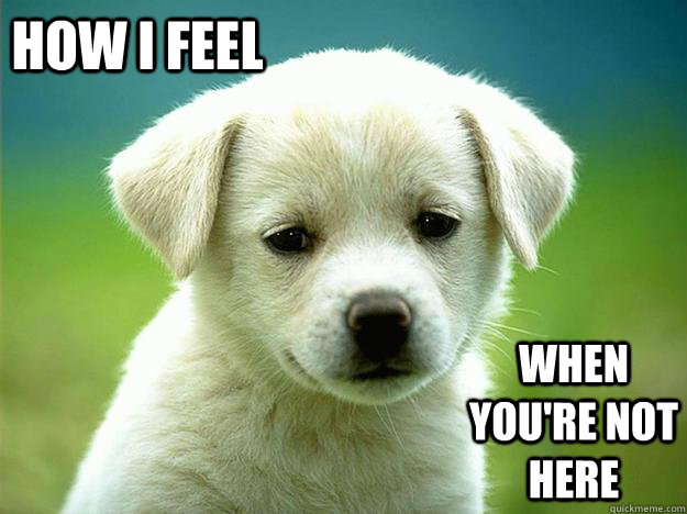 How I feel when you're not here - How I feel when you're not here  lost puppy