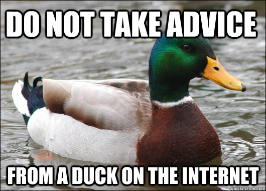 Do not take advice  from a duck on the internet  Actual Advice Mallard