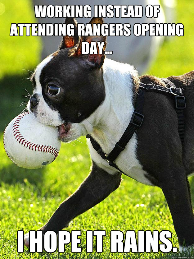 Baseball Dog memes quickmeme