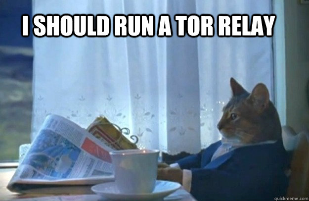 I should run a Tor relay  Sophisticated Cat