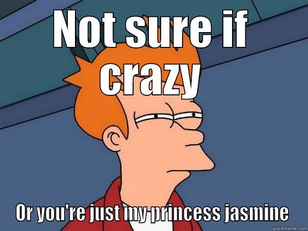 NOT SURE IF CRAZY OR YOU'RE JUST MY PRINCESS JASMINE Futurama Fry