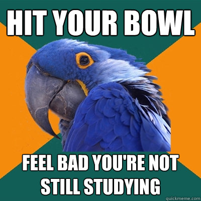 Hit your bowl Feel bad you're not still studying  Paranoid Parrot