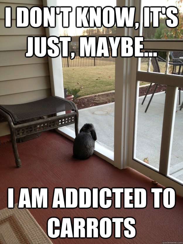 I don't know, It's just, maybe... i am addicted to carrots  Facing Reality Bunny
