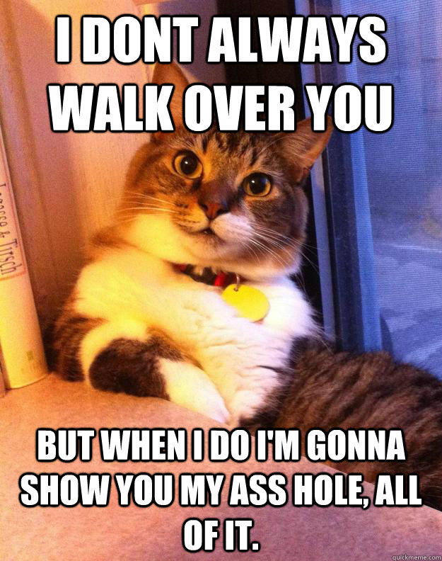 i dont always walk over you but when I do I'm gonna show you my ass hole, all of it. - i dont always walk over you but when I do I'm gonna show you my ass hole, all of it.  Misc