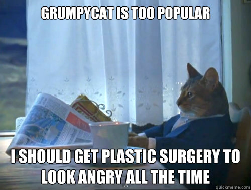 Grumpycat is too popular I should get plastic surgery to look angry all the time  The One Percent Cat