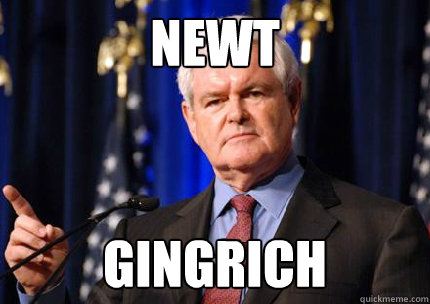 NEWT GINGRICH  Newt gingrich
