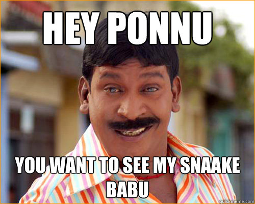 hey ponnu you want to see my snaake babu  vadivelu meme