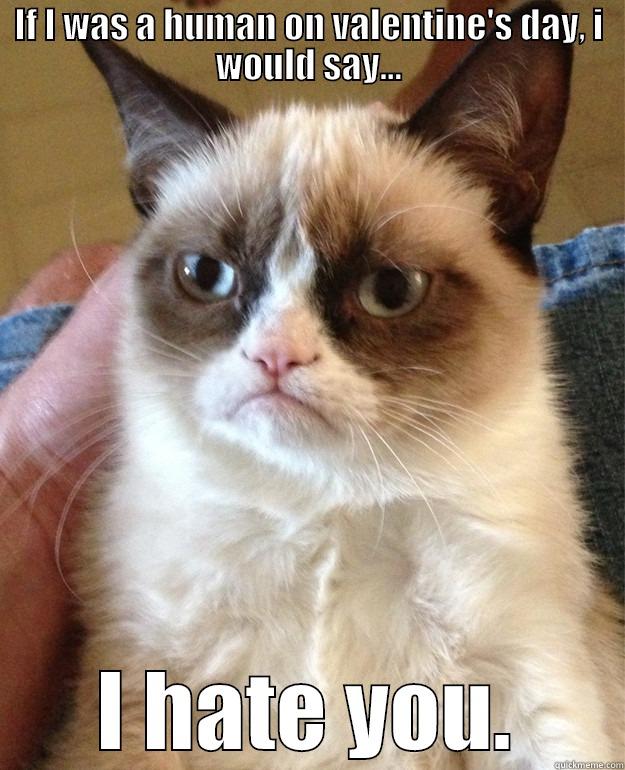 If I was a human on valentine's day... - IF I WAS A HUMAN ON VALENTINE'S DAY, I WOULD SAY... I HATE YOU. Grump Cat