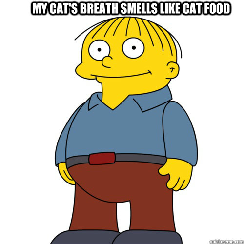 My cat's breath smells like cat food  