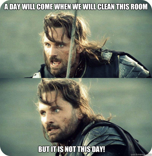 A day will come when we will clean this room   But it is not this day!  Aragorn Inspirational Speech