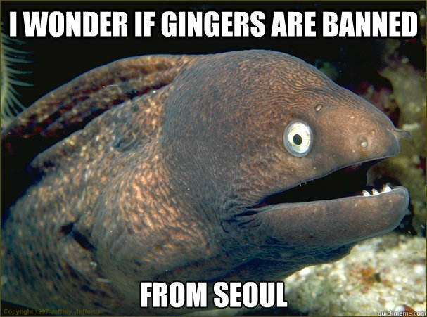 I wonder if gingers are banned from Seoul - I wonder if gingers are banned from Seoul  Misc