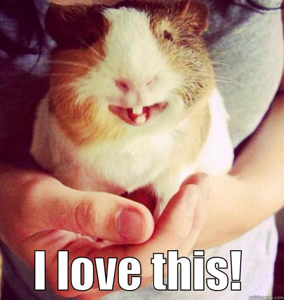  I LOVE THIS! Misc