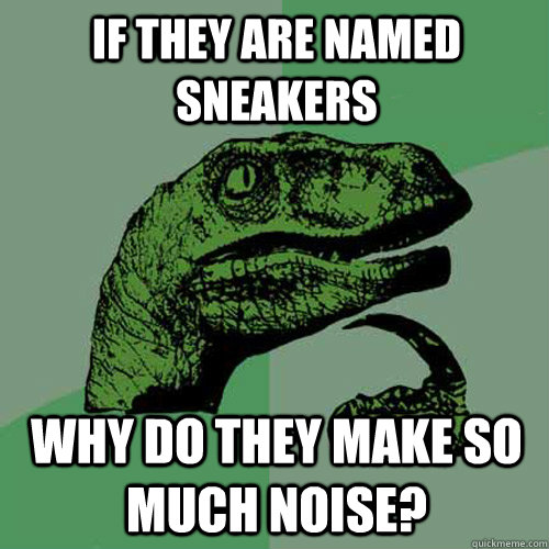 If they are named sneakers why do they make so much noise? - If they are named sneakers why do they make so much noise?  Philosoraptor