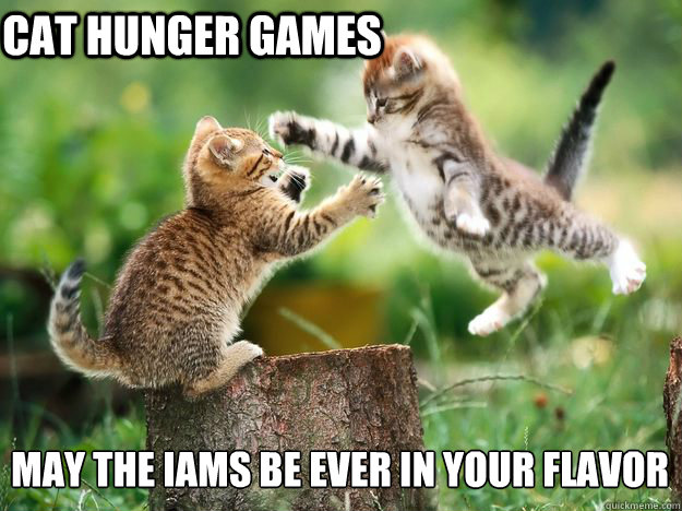 Cat Hunger Games May the Iams be ever in your Flavor  Cat Hunger Games