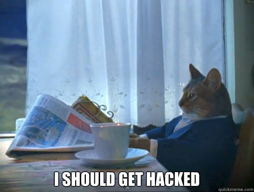  I should get hacked  The One Percent Cat