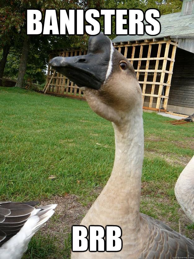 BANISTERS BRB  Geese