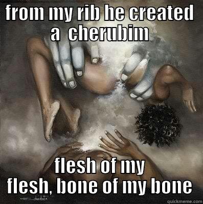 FROM MY RIB HE CREATED A  CHERUBIM FLESH OF MY FLESH, BONE OF MY BONE Misc