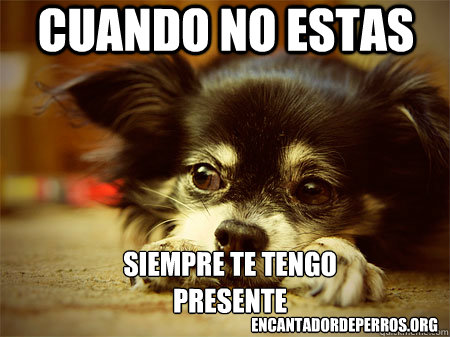 cuando no estas siempre te tengo 
presente encantadordeperros.org - cuando no estas siempre te tengo 
presente encantadordeperros.org  Misc