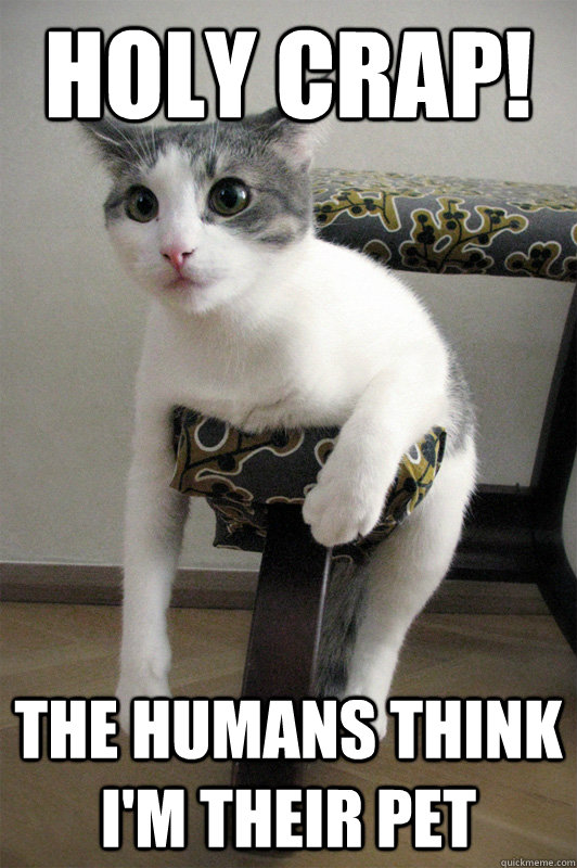 Holy Crap! The humans think i'm their pet  