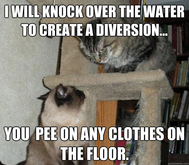 I will knock over the water to create a diversion... You  pee on any clothes on the floor.  