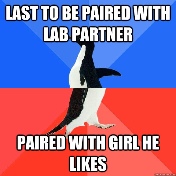 last to be paired with lab partner paired with girl he likes  Socially Awkward Awesome Penguin