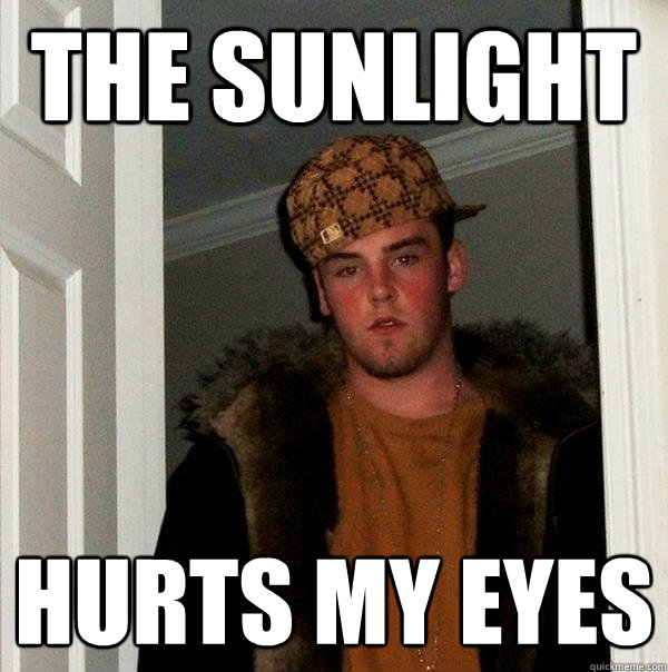 the sunlight hurts my eyes - the sunlight hurts my eyes  Scumbag Steve