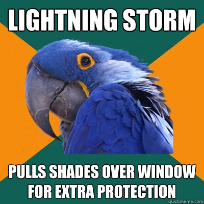 Lightning storm Pulls shades over window for extra protection  Paranoid Parrot