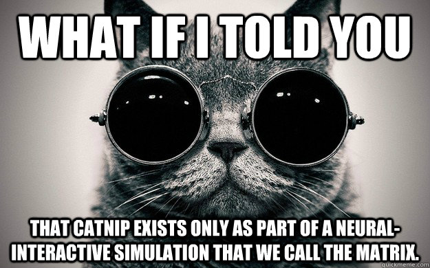 What if i told you that catnip exists only as part of a neural-interactive simulation that we call the Matrix.  Morpheus Cat Facts