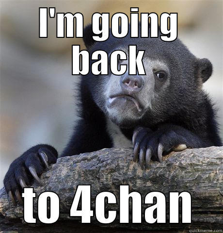 I'M GOING BACK TO 4CHAN Confession Bear