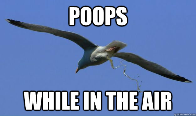 Poops While in the air - Poops While in the air  Misc