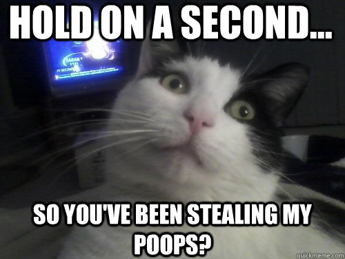 Hold on a second... So you've been stealing my poops? - Hold on a second... So you've been stealing my poops?  Misc