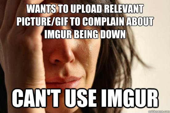 Wants to upload relevant picture/gif to complain about imgur being down Can't use imgur  First World Problems