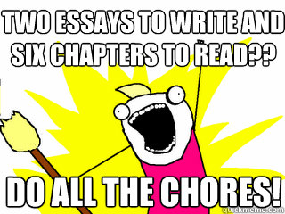 two essays to write and six chapters to read?? do all the chores!  All The Things