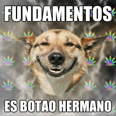 Fundamentos es botao hermano  Stoner Dog