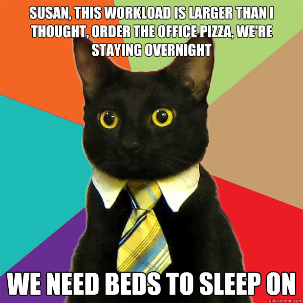 Susan, this workload is larger than I thought, order the office pizza, we're staying overnight We need beds to sleep on  Business Cat