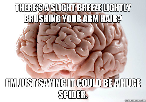 THERE'S A SLIGHT BREEZE LIGHTLY BRUSHING YOUR ARM HAIR? I'M JUST SAYING IT COULD BE A HUGE SPIDER. - THERE'S A SLIGHT BREEZE LIGHTLY BRUSHING YOUR ARM HAIR? I'M JUST SAYING IT COULD BE A HUGE SPIDER.  Scumbag Brain