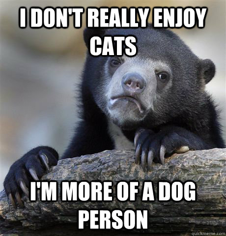 I don't really enjoy cats I'm more of a dog person - I don't really enjoy cats I'm more of a dog person  Confession Bear