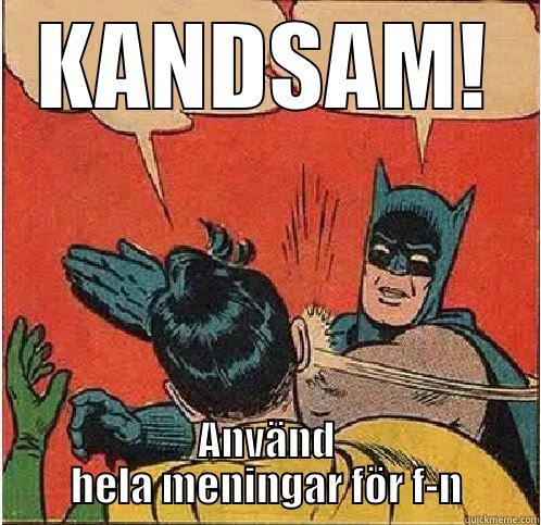 KANDSAM! ANVÄND HELA MENINGAR FÖR F-N Batman Slapping Robin