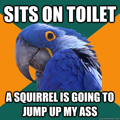 sits on toilet a squirrel is going to jump up my ass  Paranoid Parrot