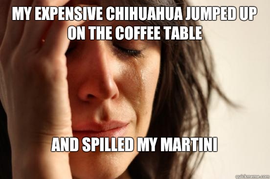 My expensive Chihuahua jumped up on the coffee table And spilled my martini
  First World Problems